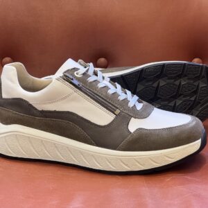 Solidus Ken Bosco Multi 71122-40705